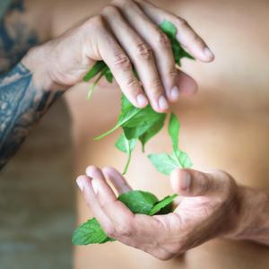  Douchegel 3 in 1 voor mannen Energy of mint fles 500 ml