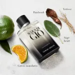 Acqua di Giò navulbare eau de parfum voor heren 100 ml