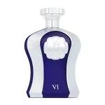 Highness VI Eau de Parfum voor heren 100 ml