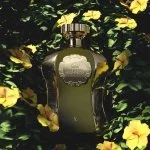 Afnan Highness X Eau de Parfum voor heren