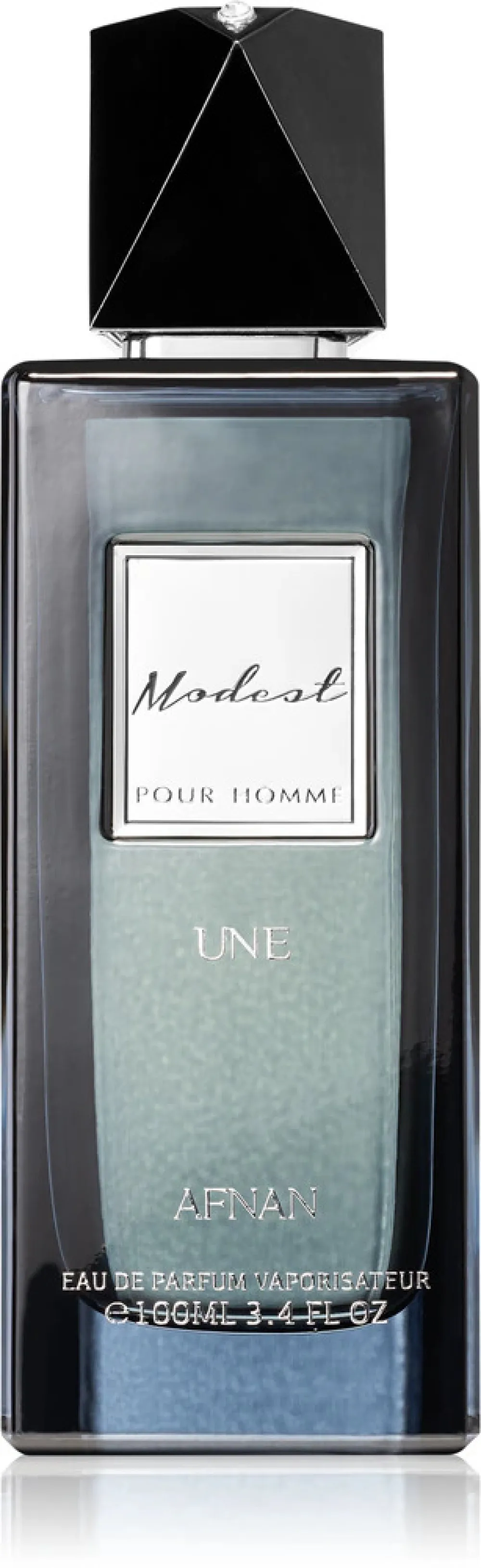 Modest Une Pour Homme eau de parfum 100 ml voor mannen