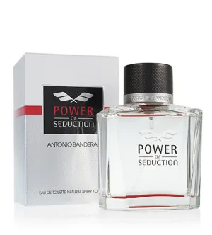 Antonio Banderas Power of Seduction eau de toilette voor mannen 100 ml