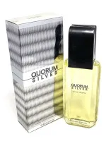 Quorum Silver eau de toilette 100 ml voor mannen
