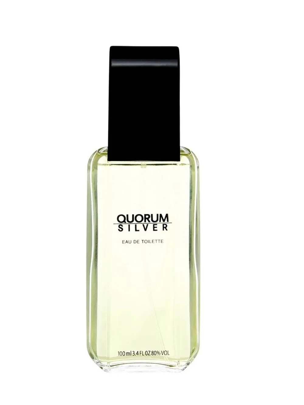 Quorum Silver eau de toilette 100 ml voor mannen