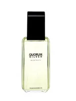 Quorum Silver eau de toilette 100 ml voor mannen