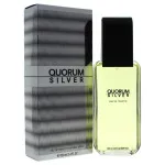 Quorum Silver eau de toilette 100 ml voor mannen