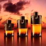 The Most Wanted parfum voor mannen 100 ml