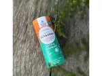 Ben & Anna Vaste deodorant zonder parfum (40 g) - Aloe Vera - voor de gevoelige huid