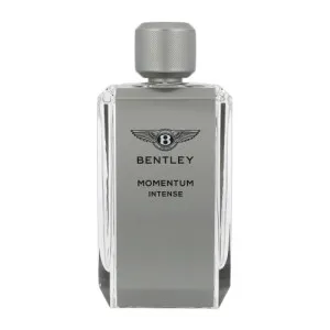 Bentley Momentum Intense eau de parfum voor mannen 100 ml