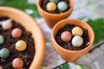 Blossombs Zaadbom - Cadeaudecoratie 'Voor de beste mama' - Hartje (1 stuk)