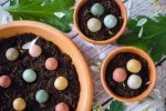 Blossombs Zaadbommen - Kleine cadeauset - Gelukkig nieuw huis (7 stuks) - origineel en praktisch cadeau in één