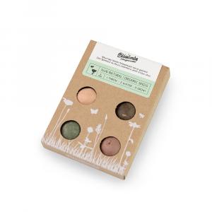Blossombs Seed Bombs - Mini Geschenkset (4 stuks) - origineel en praktisch cadeau in één