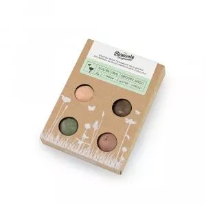 Blossombs Seed Bombs - Mini Geschenkset (4 stuks) - origineel en praktisch cadeau in één