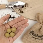 Blossombs Zaadbommen - Mini cadeauset - Kruidentuintje (4 stuks) - een origineel en praktisch cadeau in één