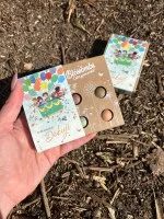 Blossombs Zaadbommen - Mini-cadeauset - Duizendmaal dank voor alles (4 st.) - geef een bloem op een andere manier
