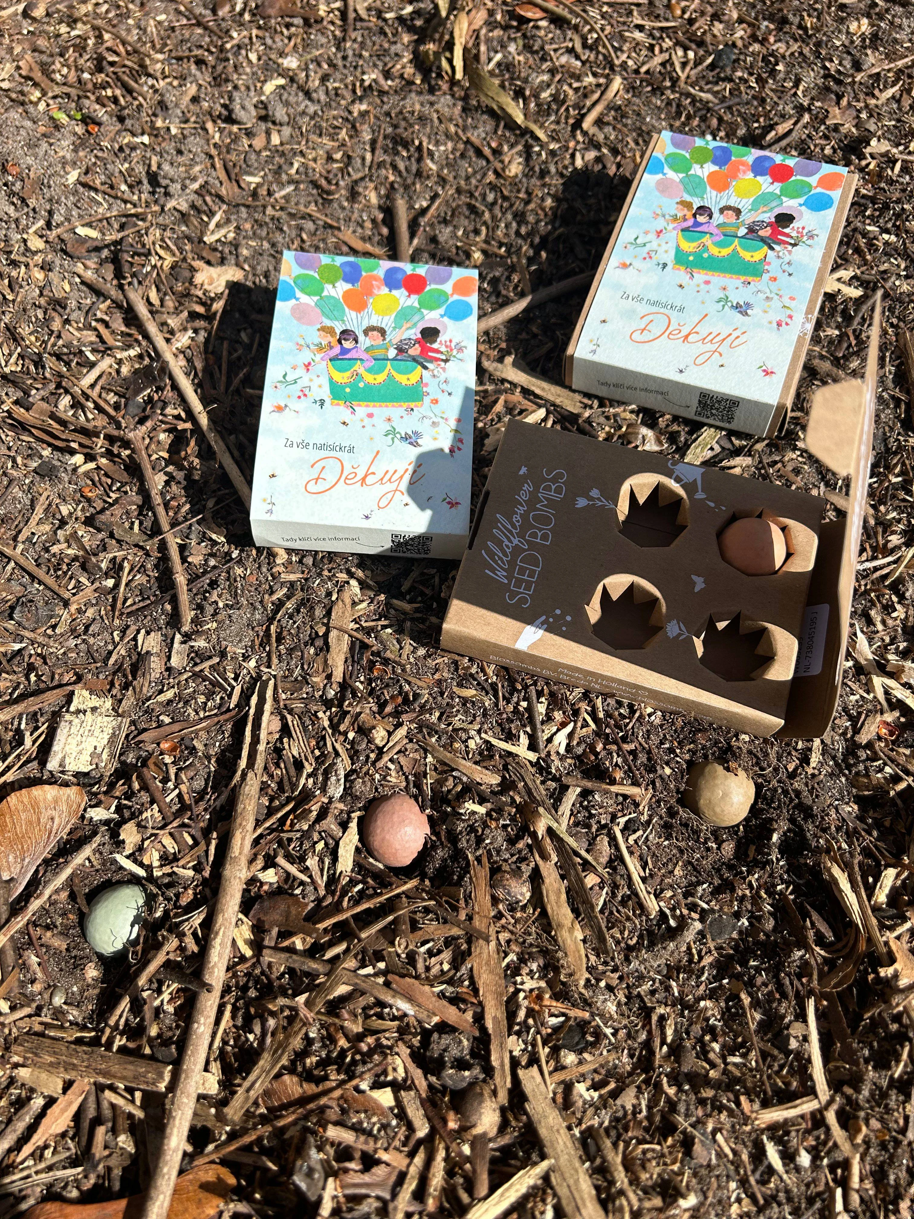 Blossombs Zaadbommen - Mini-cadeauset - Duizendmaal dank voor alles (4 st.) - geef een bloem op een andere manier
