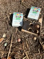 Blossombs Zaadbommen - Mini-cadeauset - Duizendmaal dank voor alles (4 st.) - geef een bloem op een andere manier