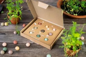 Blossombs Zaadbommen - Medium Geschenkset