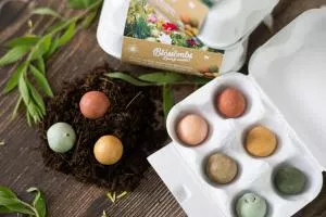 Blossombs Zaadbommen - Ei Cadeauverpakking - Boeket (6 stuks) - een origineel en praktisch cadeau