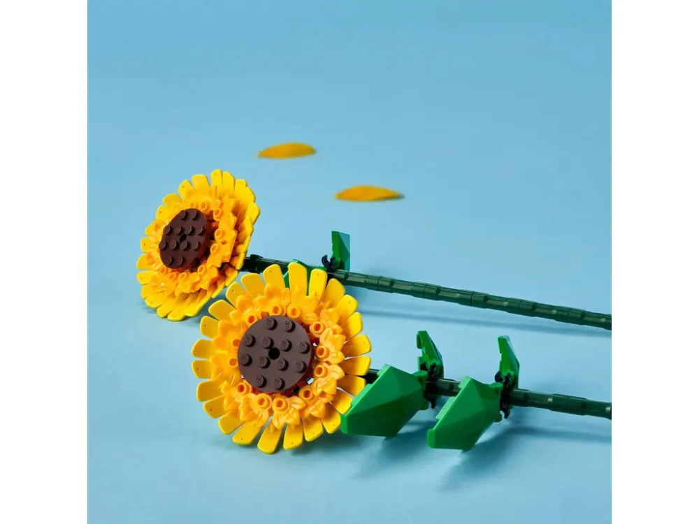 Botanicals 40524 Zonnebloem