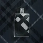 Brit For Men eau de toilette voor mannen 100 ml