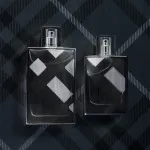 Brit For Men eau de toilette voor mannen 100 ml