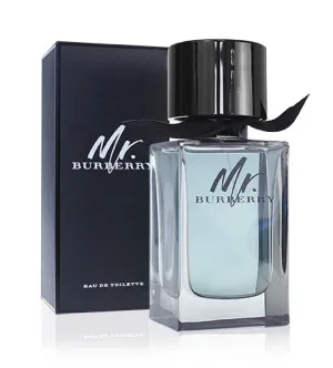 Burberry Mr. Burberry eau de toilette voor mannen 100 ml