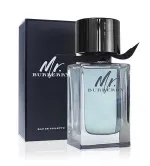 Mr. Burberry eau de toilette voor mannen 100 ml