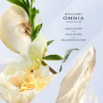 Omnia Crystalline eau de toilette voor vrouwen 100 ml