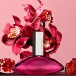 Euphoria eau de parfum voor vrouwen 50 ml