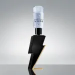 Bad Boy eau de toilette voor heren 100 ml
