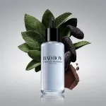 Bad Boy eau de toilette voor heren 100 ml