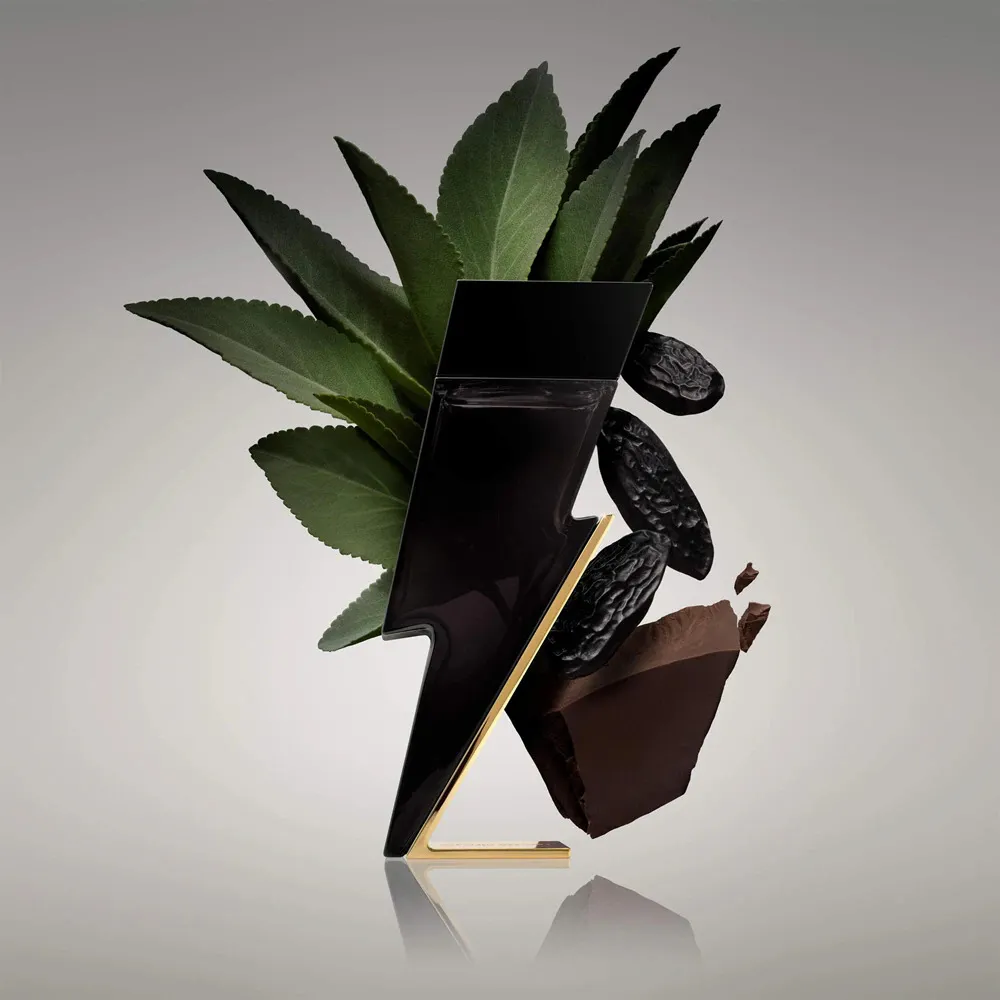 Bad Boy eau de toilette voor heren 100 ml