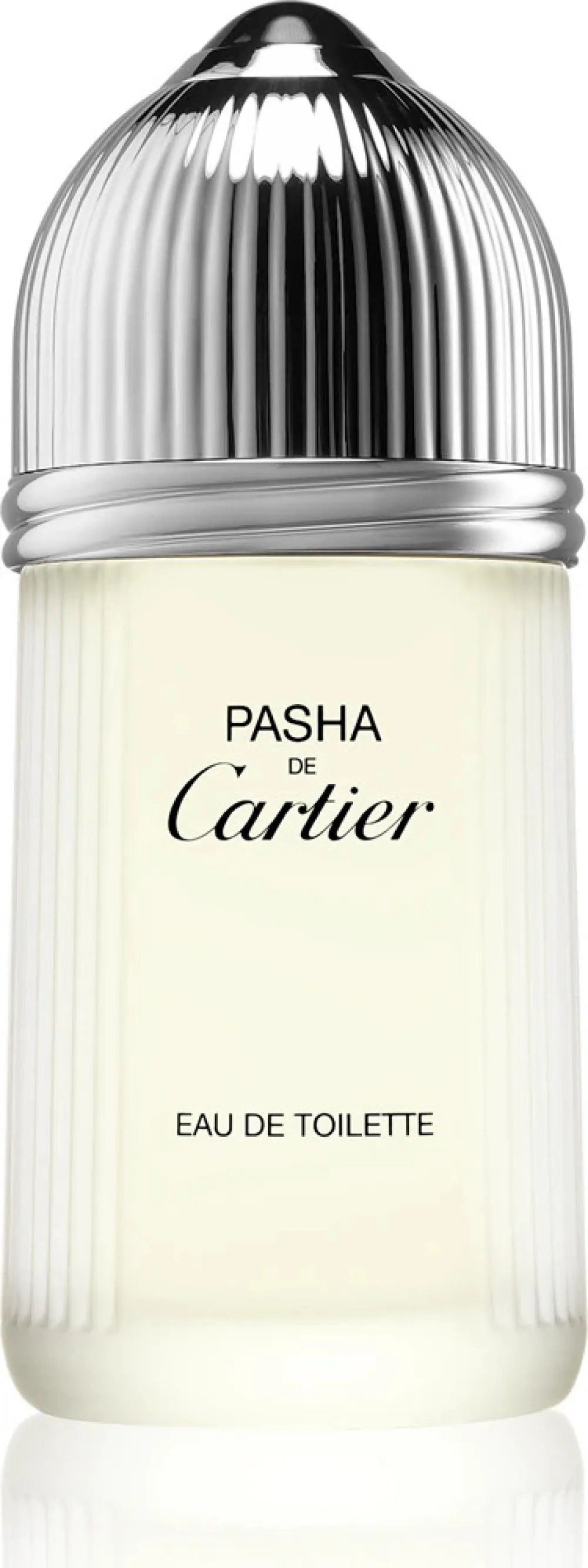 Pasha de Cartier eau de toilette voor mannen 100 ml
