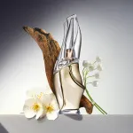 Cashmere Mist eau de toilette voor dames 100 ml