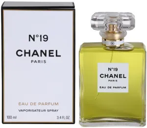 Chanel N°19 eau de parfum voor dames 100 ml