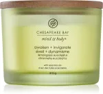 Awaken + Invigorate geurkaars met 3 lonten 312 g
