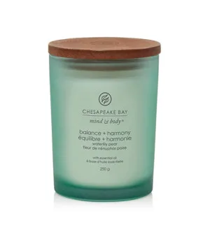 Chesapeake Bay Balance + Harmony geurkaars 250 g