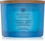 Confidence + Freedom geurkaars met 3 lonten 312 g