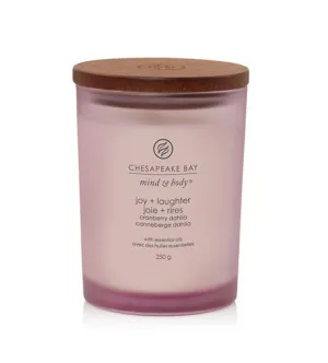 Chesapeake Bay Joy + Laughter geurkaars 250 g
