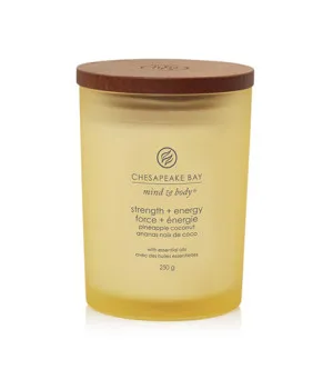 Chesapeake Bay Strength + Energy geurkaars 250 g