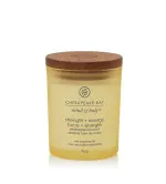 Chesapeake Bay Strength + Energy Pineapple Coconut geurkaars 96 g