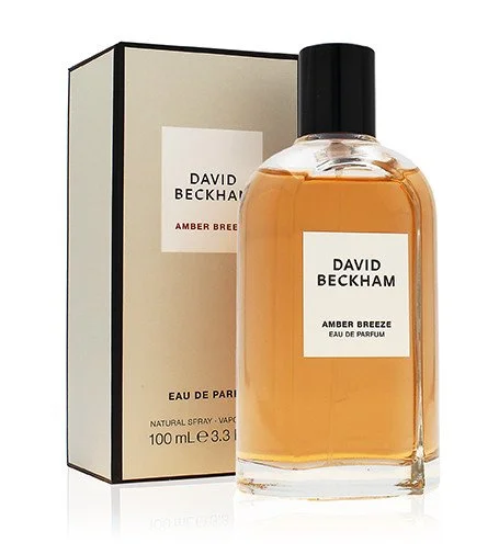 Amber Breeze eau de parfum voor mannen 100 ml