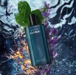Cool Water eau de toilette voor mannen 40 ml