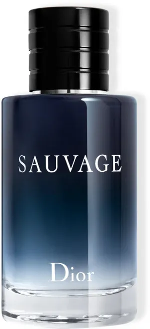 Dior Sauvage eau de toilette voor mannen 100 ml