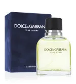 Dolce & Gabbana Pour Homme eau de toilette voor mannen 200 ml
