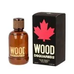 Dsquared2 Wood for Him eau de toilette voor heren 100 ml