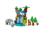 DUPLO® 10446 Wilde dierenfamilies 3-in-1