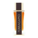 Spicy Leather Eau de Parfum voor heren 100 ml