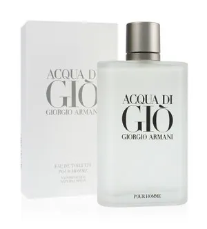 Giorgio Armani Acqua di Gio Pour Homme eau de toilette voor mannen 100 ml